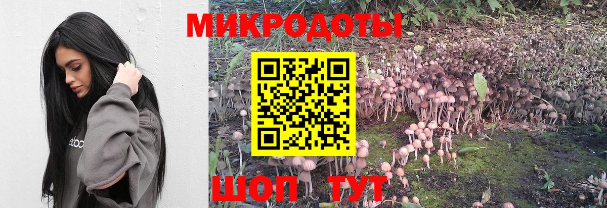 Алексин  Псилоцибиновые грибы мухоморы  Вход с VPN 