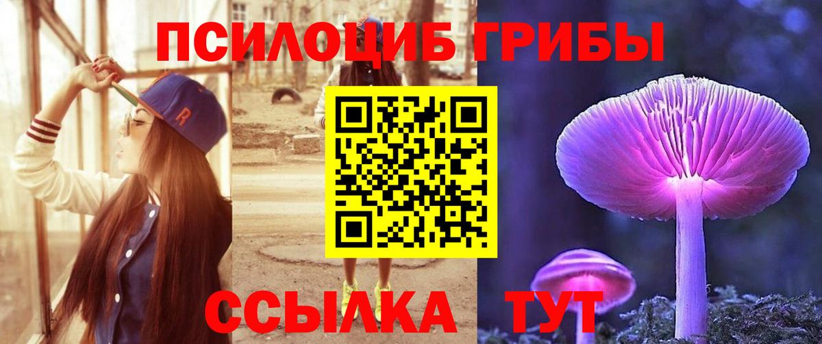 Псилоцибиновые грибы MAGIC MUSHROOMS Алексин